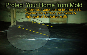 How to Prevent Mold in Your Shoreline, WA Home or Condo