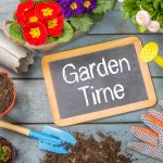How to prepare a home garden in Shoreline, WA