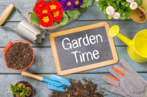 How to prepare a home garden in Shoreline, WA