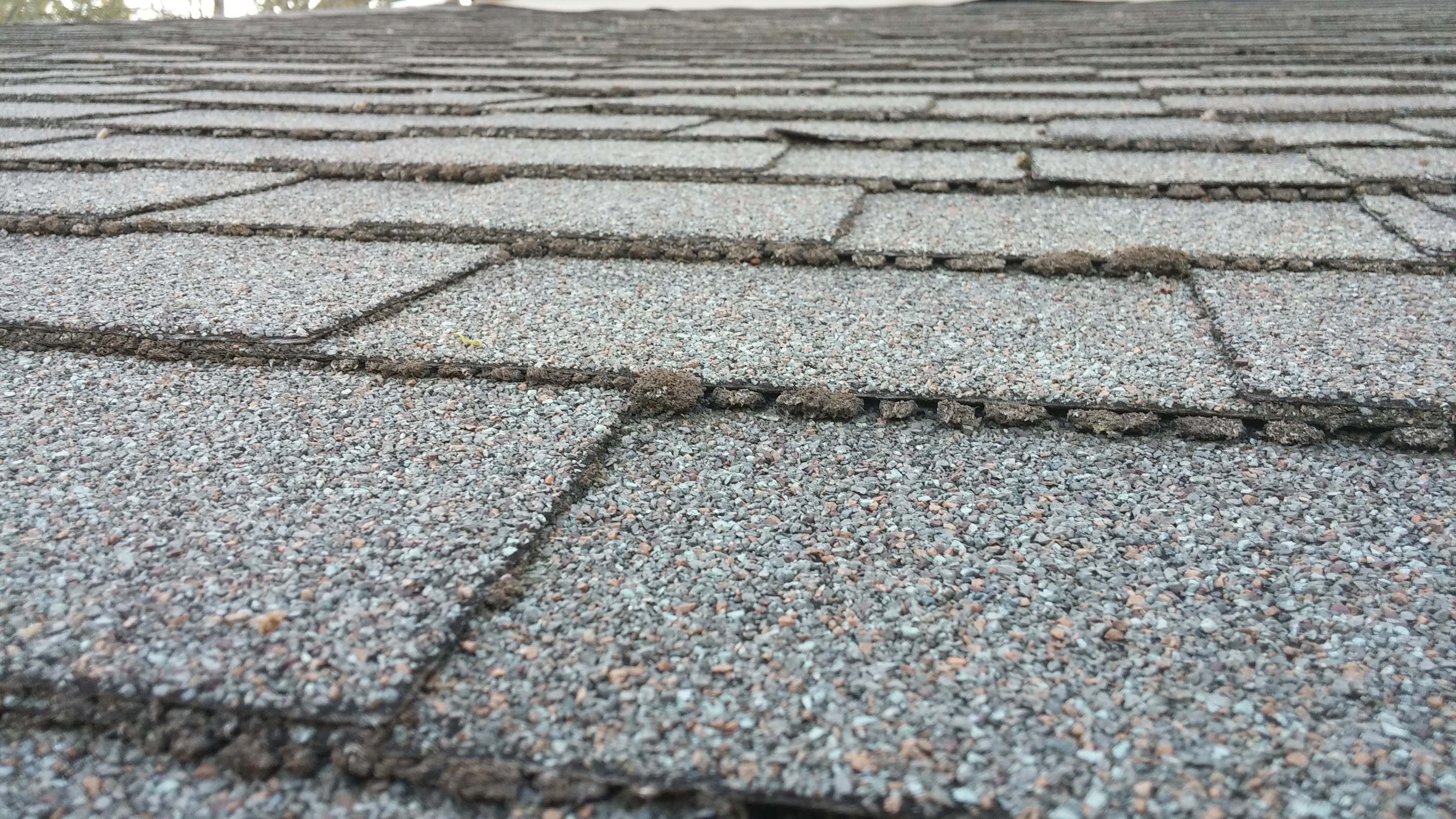 How to inspect your roof for damage in Shoreline, WA