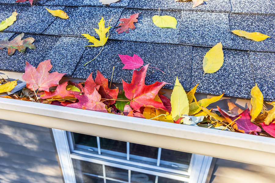 Fall Home Maintenance Checklist for your Edmonds, WA home