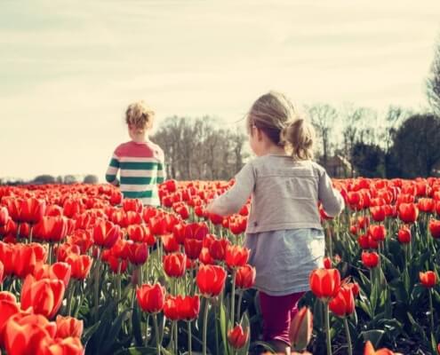 Spring Activities to Consider in Edmonds, Washington